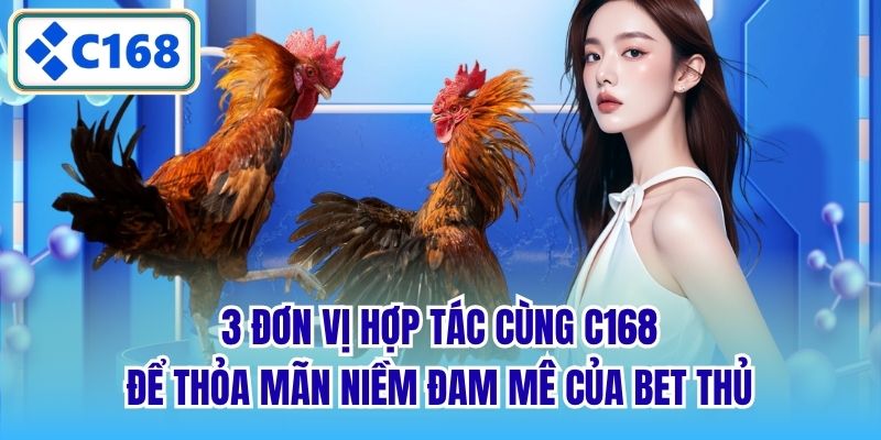 3 đơn vị hợp tác cùng C168 để thỏa mãn niềm đam mê của bet thủ