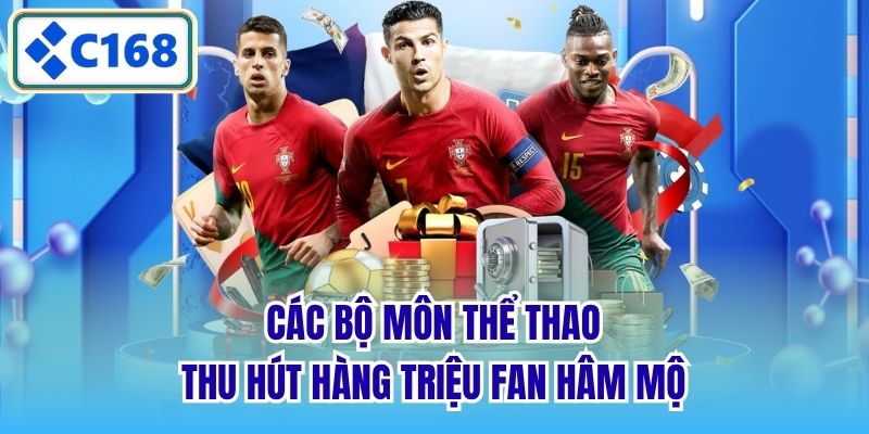 Các bộ môn thể thao thu hút hàng triệu fan hâm mộ