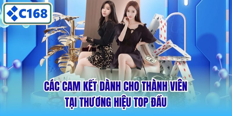 Các cam kết dành cho thành viên tại thương hiệu top đầu